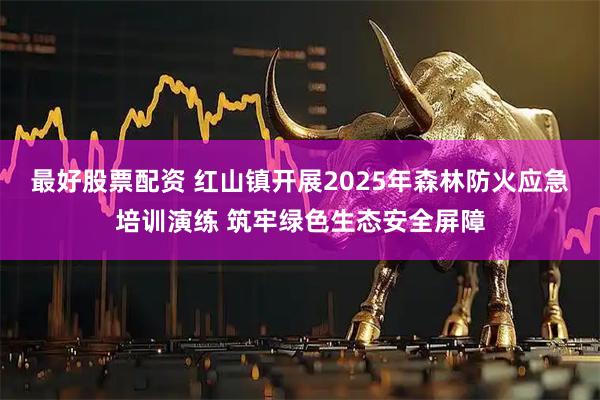 最好股票配资 红山镇开展2025年森林防火应急培训演练 筑牢绿色生态安全屏障